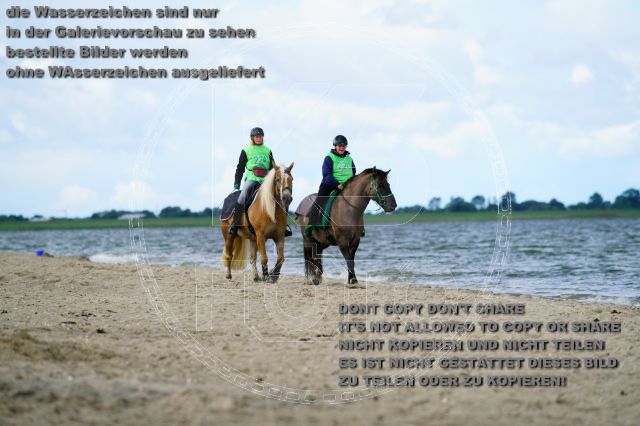 s_K3F05157.JPG